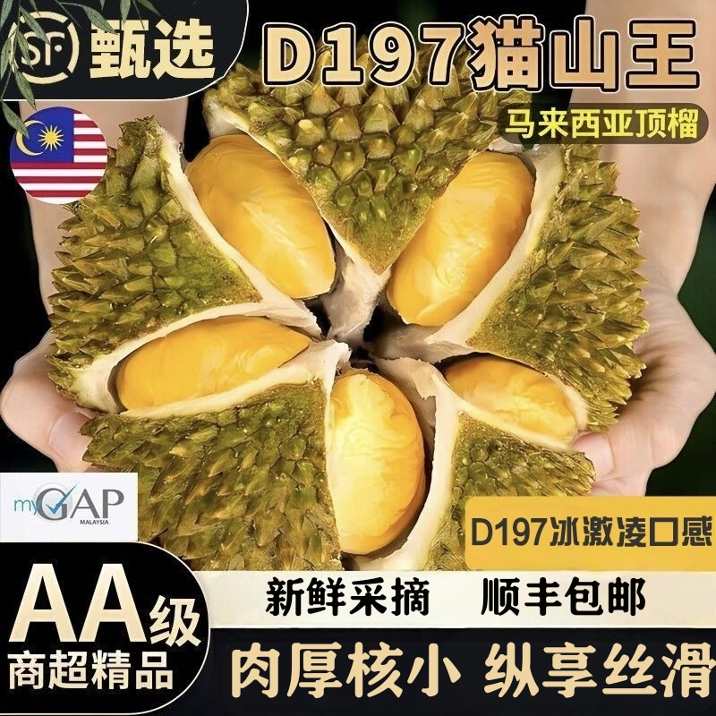 顺丰包邮AA鲜果树熟猫山王榴莲D197马来西亚进口榴莲当季新鲜水果