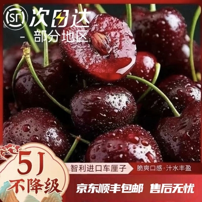 智利桑提娜santina进口车厘子新鲜水果5斤装5j当季樱桃包邮现摘发