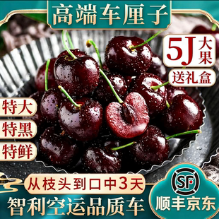 智利拉宾斯labinsi进口车厘子新鲜水果4J5斤原装礼盒当季樱桃包邮