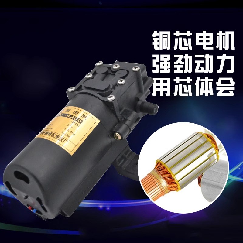 12V伏农用电动喷雾器水泵电机高压打农药机配件双核大功率自吸泵