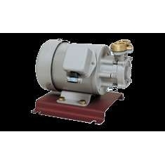 日本iwayadenki岩谷电机水泵1KT-0202E