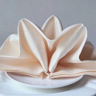 口布西餐巾酒店折花布宴会红色用餐布餐巾高级感黑色口布酒店专用