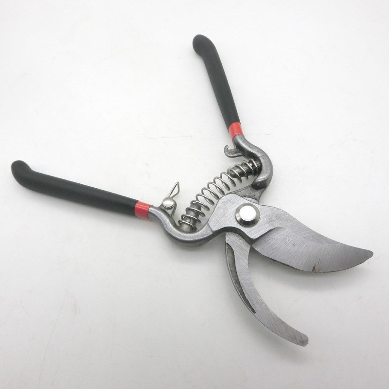 8寸10寸园艺果林树枝剪 多w功能树枝剪园林剪刀 防滑手动修树枝剪