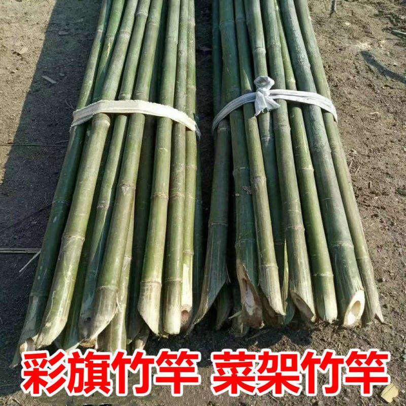 工地旗帜彩旗刀旗飘旗广告用竹竿C竹杆竹子小竹杆种菜搭架用竹子