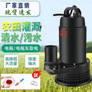 直流电瓶车污水泵12V抽水机48V60V农田灌溉浇菜潜水泵清污两用泵