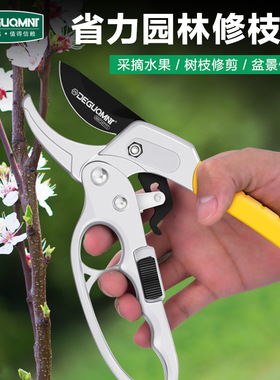花艺剪刀园艺剪花卉剪枝家用修花剪强力果树修枝剪省力园林剪摘果