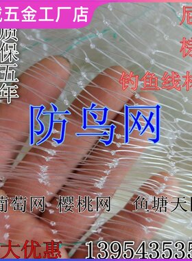 家用尼龙线用网包邮防鸟网防护小鸟单用网通防鱼护养鸡鸽子