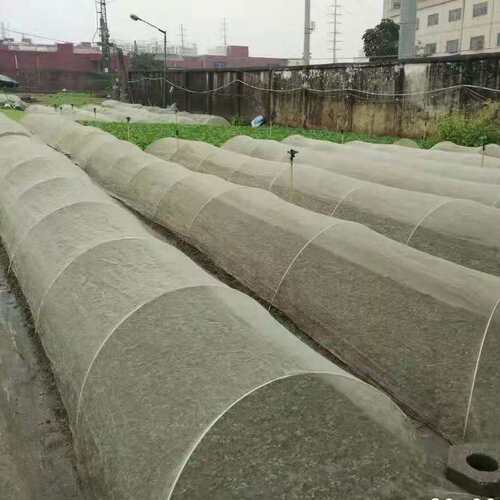 100条/件蔬菜花卉保温棚拱玻纤杆农用小拱棚支架拱竿玻璃钢弹力棒