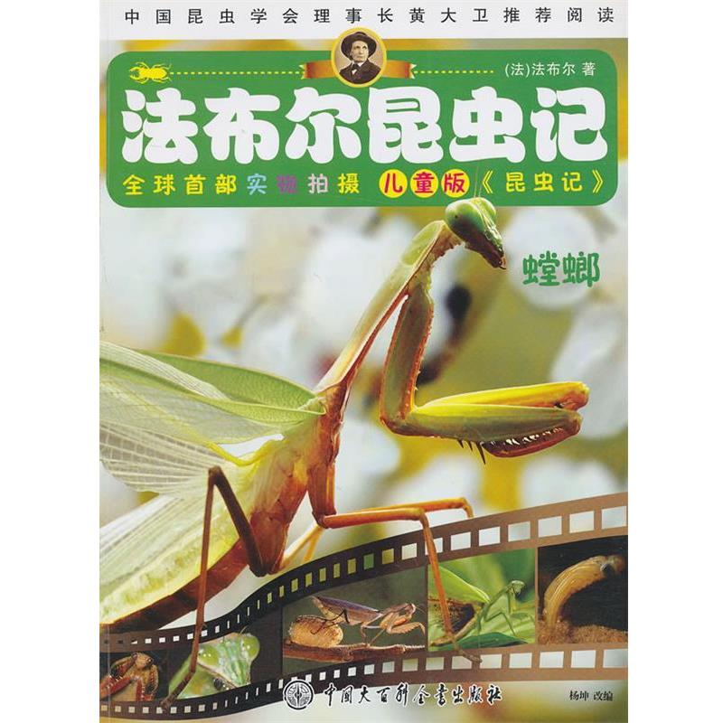【正版书籍】 法布尔昆虫记 螳螂 杨坤 中国大百科全书出版社