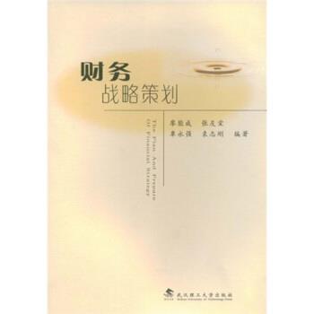 【正版书籍】 财务战略策划 廖能成 著 武汉理工大学出版社