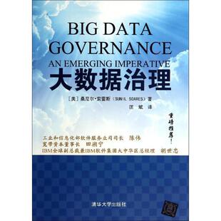 【正版书籍】 大数据治理 (美)索雷斯　著,匡斌　译 清华大学出版社
