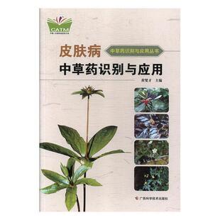 广西科学技术出版 社 黄燮才 中草药识别与应用 正版 书籍