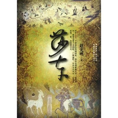 【正版书籍】 莎车 赵光鸣　著 中国国际广播出版社