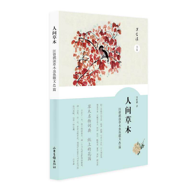 【正版书籍】 人间草木 汪曾祺 山东画报出版社