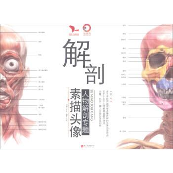 【正版书籍】 解剖：素描头像 我有我一套系列丛书 叶虎,孙建 燕山大学出版社
