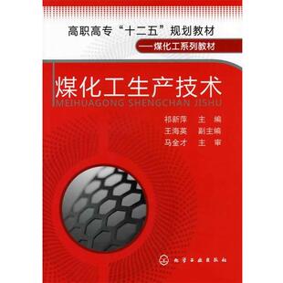 【正版书籍】 煤化工生产技术 祁新萍 主编 化学工业出版社