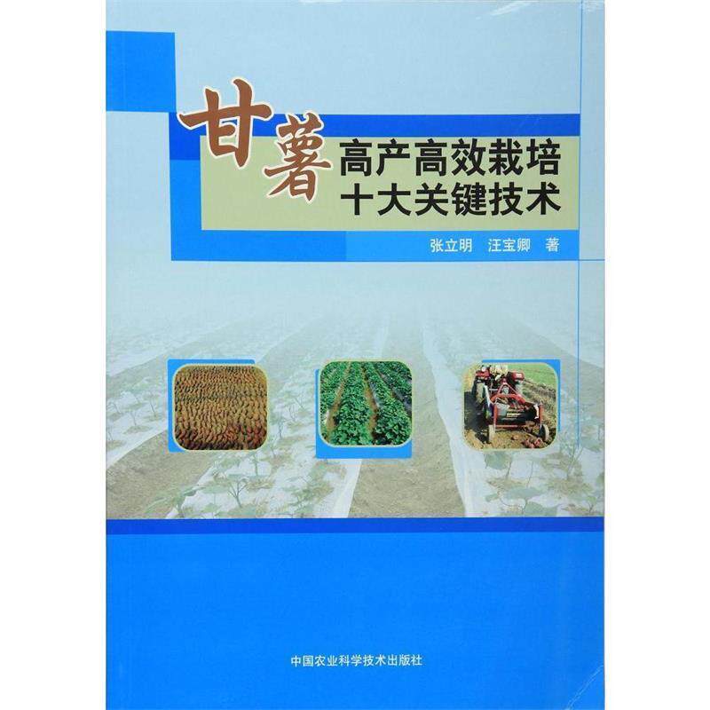 【正版书籍】 甘薯高产高效栽培十大关键技术 张立明,汪宝卿　著 中国农业科学技术出版社