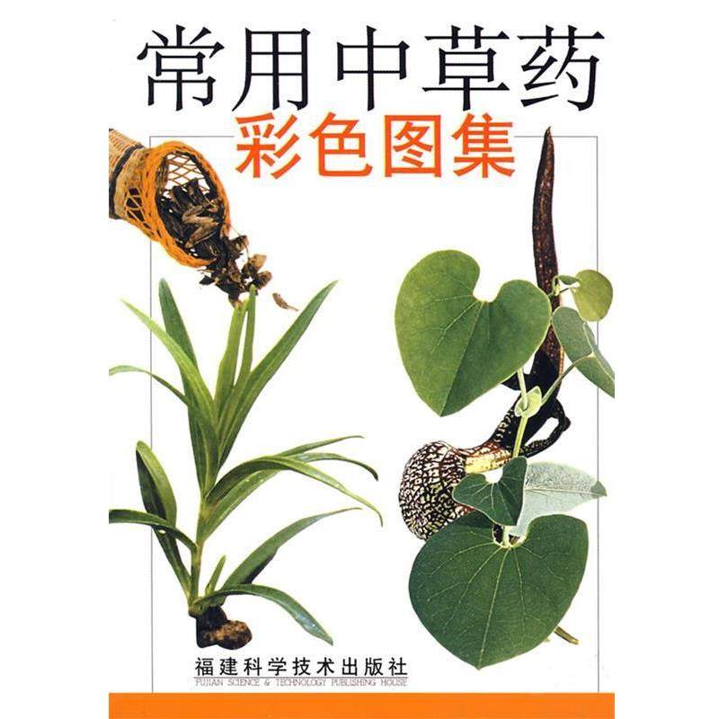 【正版书籍】 常用中草药彩色图集 华碧春,陈小峰,庄朝安　编著 福建科技出版社