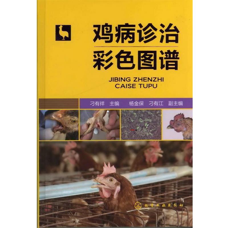 【正版书籍】 鸡病诊治彩色图谱 刁有祥 主编,杨金保,刁有江 副主编 化学工业出版社