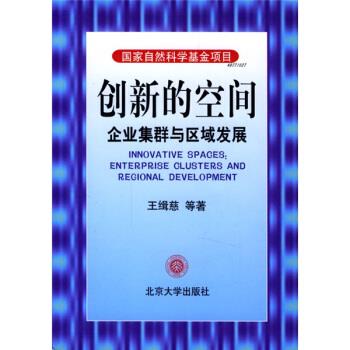 【正版书籍】 创新的空间:企业集群与区域发展 王缉蕊 等 著 北京大学出版社