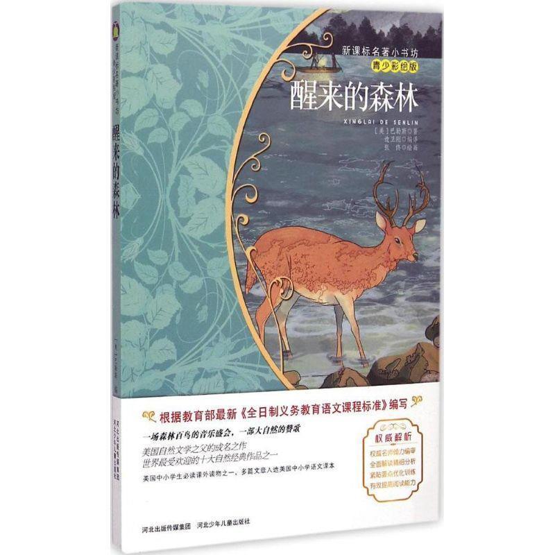 【正版书籍】 醒来的森林 (美)巴勒斯　著,边卫刚　编译 河北少年儿童出版社