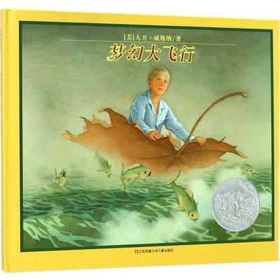 【正版书籍】 梦幻大飞行 [美]大卫·威斯纳 江苏少年儿童出版社