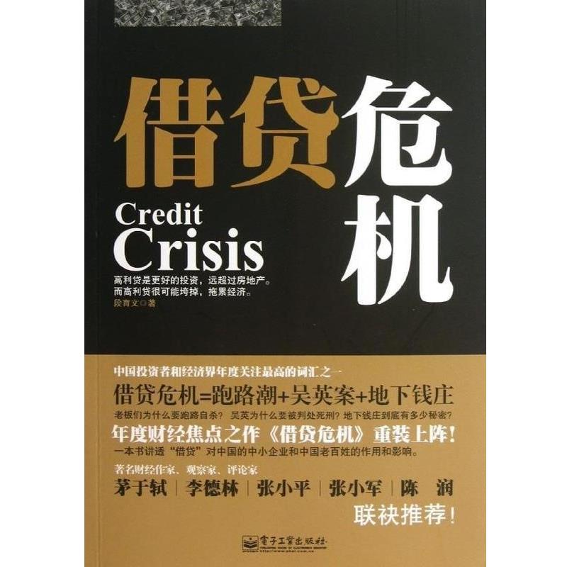 【正版书籍】 借贷危机 段育文 电子工业出版社