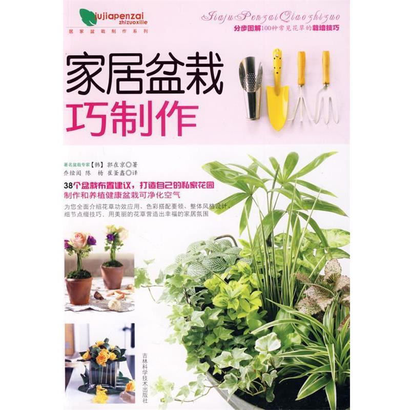 【正版书籍】 家居盆栽巧制作 郭在京　著 吉林科学技术出版社