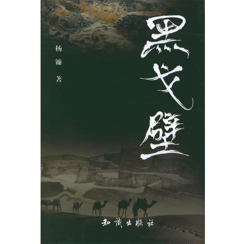 【正版书籍】 黑戈壁 杨镰 著 知识出版社