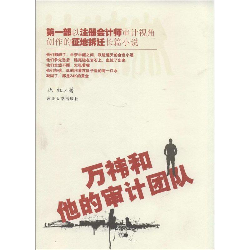 【正版书籍】 万祎 和他的审计团队 氿红 河北大学出版社