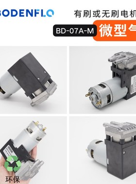 厂家直销12V24V小型BD-07A-M活塞压缩机6.5bar微型高压抽打充气泵