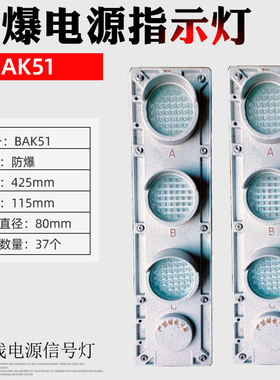 包邮 起重机滑触线用LED防爆电源指示灯BAK51