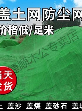 绿化网工程防尘的绿网子用绿网地面细孔绿化覆盖施工盖土网盖沙