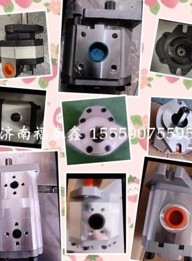 齿轮泵CBW-F306/310/314/316/320/325型拍时确定键型左右旋 台