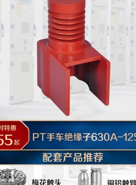 PT手车绝缘子630A-1250A  手车绝缘子1600A-3150A连体绝缘子35kv