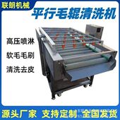 商用平行毛辊清洗机海蛎子扇贝去泥沙毛刷清洗设备压喷淋清洗线