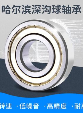 哈尔滨深沟球轴承6021 6022 6024 6026 6028 6030 6032-2RZ/ZZ