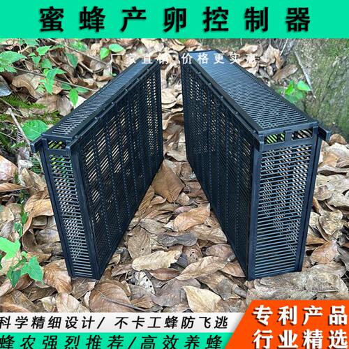 蜜蜂多王群饲养笼隔王栅产卵控制器防逃笼双王群养殖隔王板防盗片