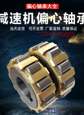 减速机偏心轴承RN205 RN206 307 308 309 312 219 222M 轴承