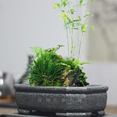 青石花盆佛肚竹簕竹内门竹子专用盆复古石槽枫树造景盆菖蒲石头盆