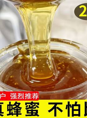 大别山土蜂蜜纯正天然农家自产百花正宗峰包邮两斤装