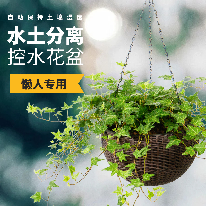 阳台吊兰2d021塑料绿萝垂吊懒人自动吸水吊篮悬挂吊挂式花盆吊盆