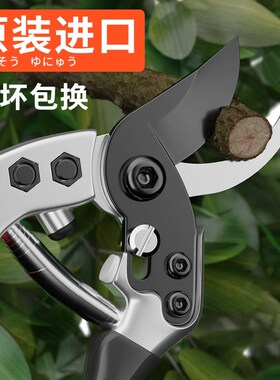 日本原装进口修枝剪园艺剪树枝专用剪刀果树花木花艺剪花剪树剪子