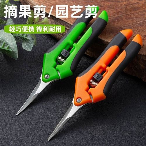 花草剪刀 修枝剪 家用火龙果剪刀摘果剪短直头花卉修枝剪蔬果香菇