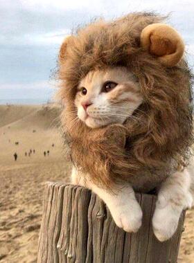 猫咪狮子头套猫帽子可爱搞怪宠物拍照道具小狗狗装扮服饰装饰品