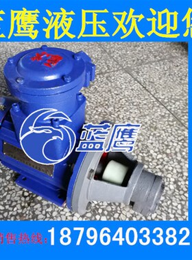 WBZ/LWBZ-2.5/4/6/10/16/20/25/32/40/50/63防爆齿轮油泵电机装置