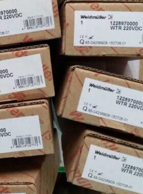 魏德米勒时间继电器WTR 110VDC 1228960000 WTR 220V 1228970000
