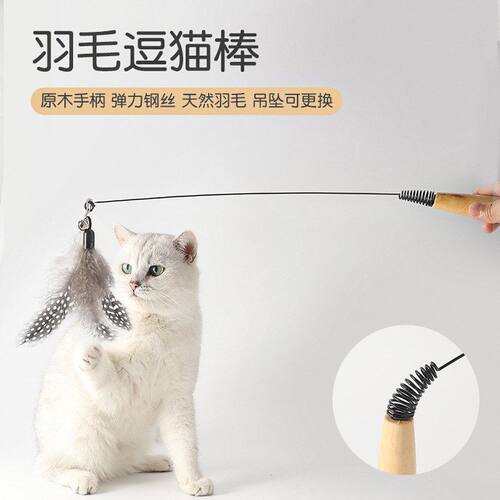 工厂幼猫替换互动现货逗猫赛级