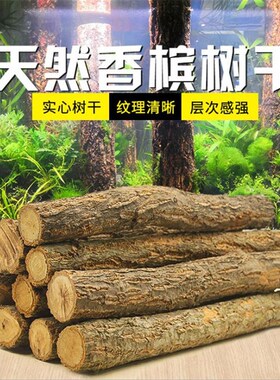 香槟树干 树皮 沉木 爬宠 水草 森林雨淋造景树桩杜鹃根乌龟晒台