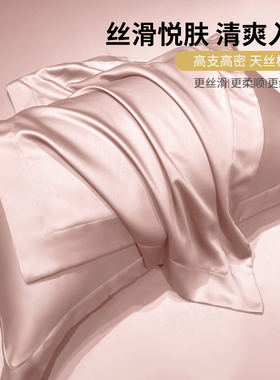 天丝枕套40cmx65cm48x74厘米冷凉感品牌高级枕头套一对2只装夏季